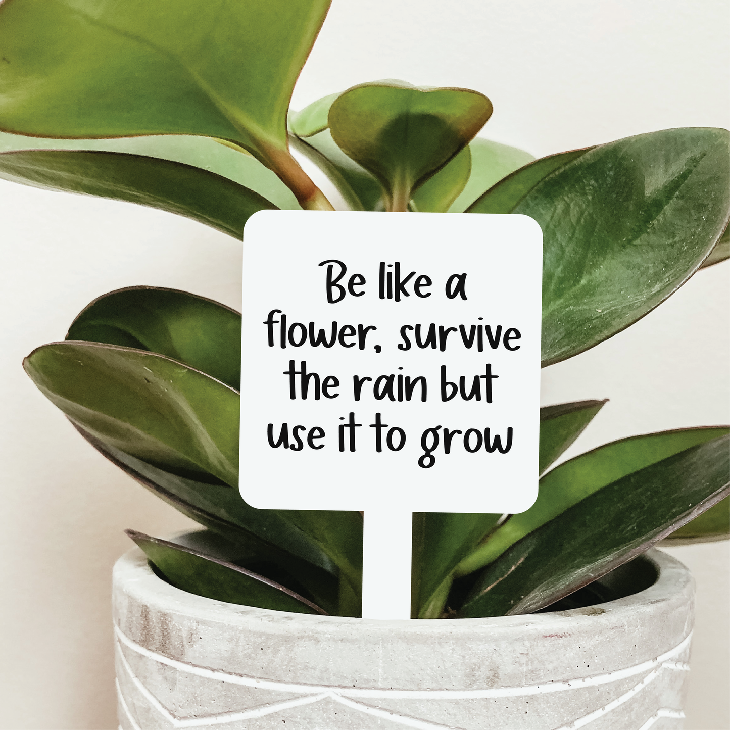 Be Like A Flower Plant Marker