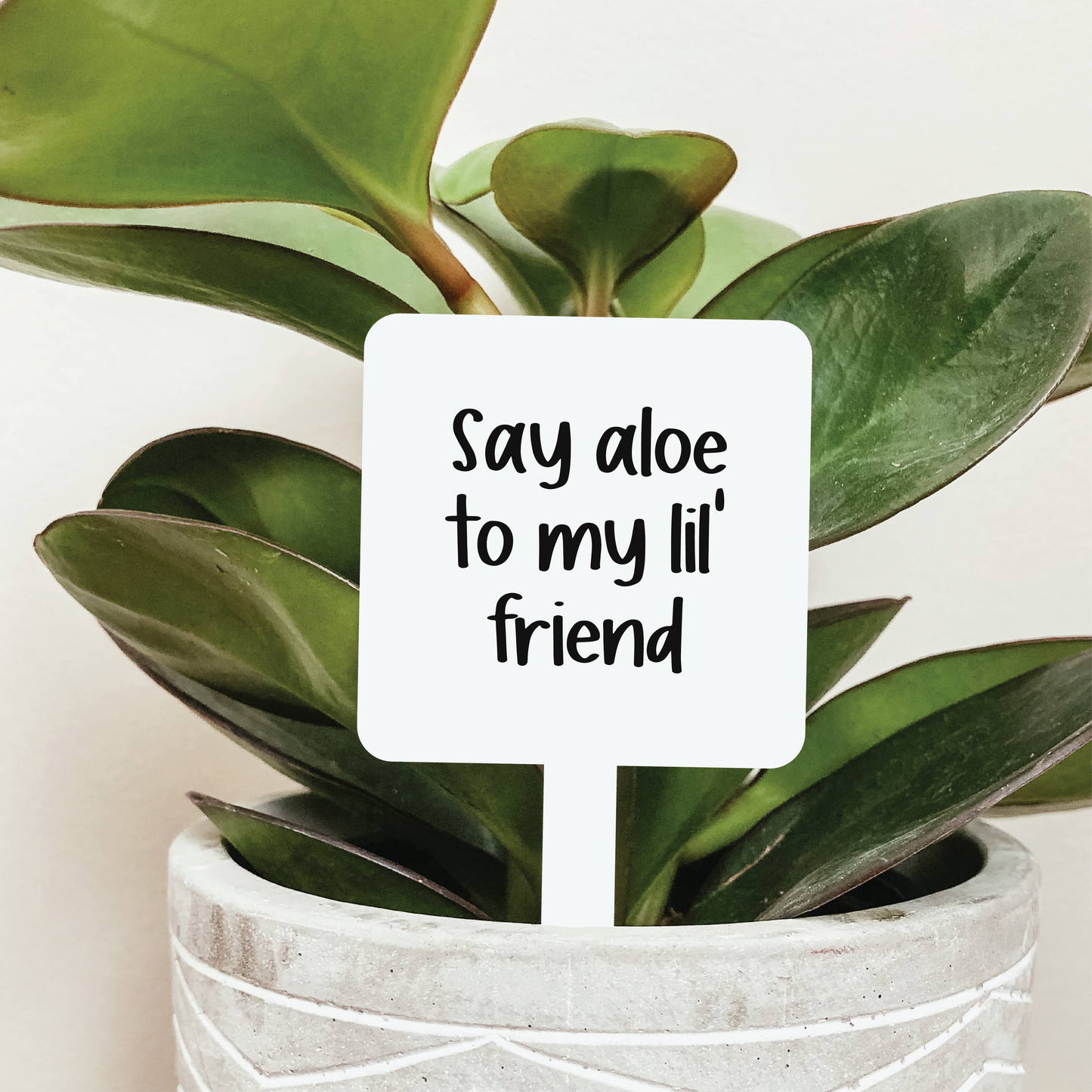 Say Aloe To My Lil' Friend Plant Marker