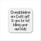 Grandchildren Magnet
