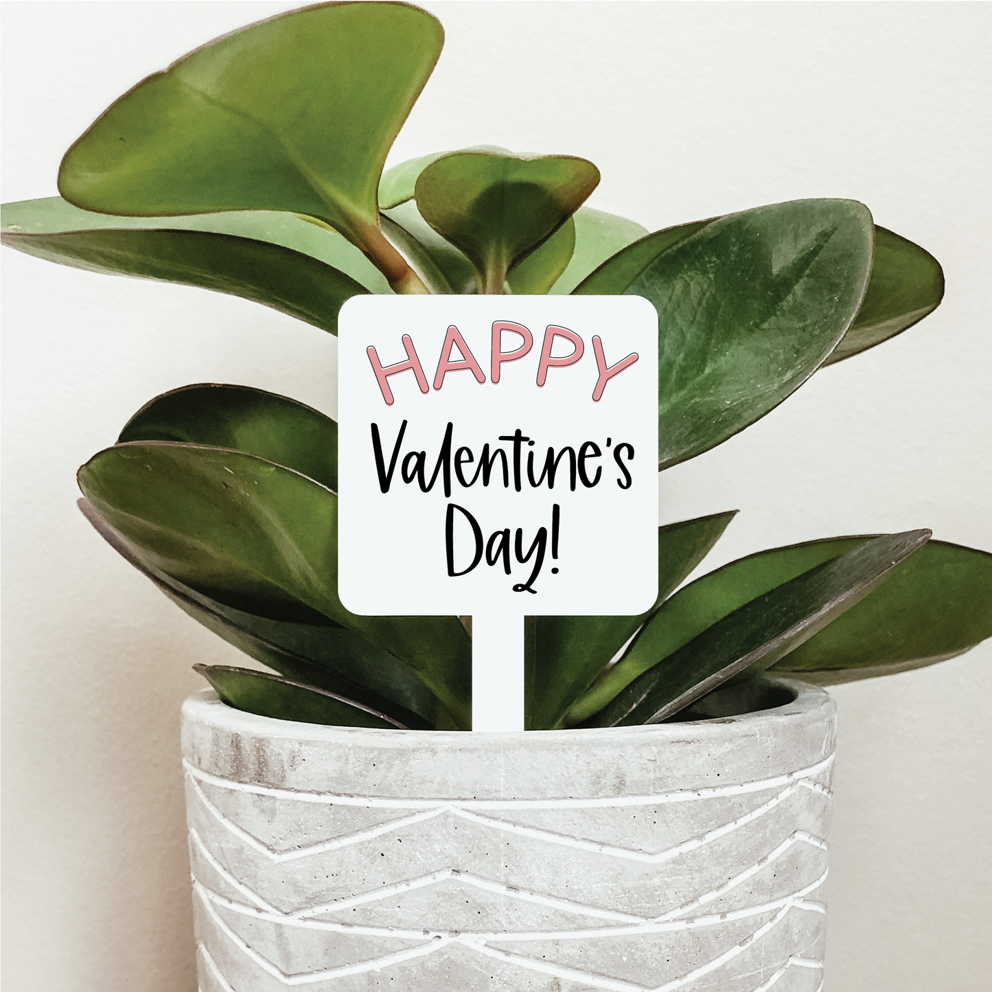 Happy Valentine's Day Plant Marker