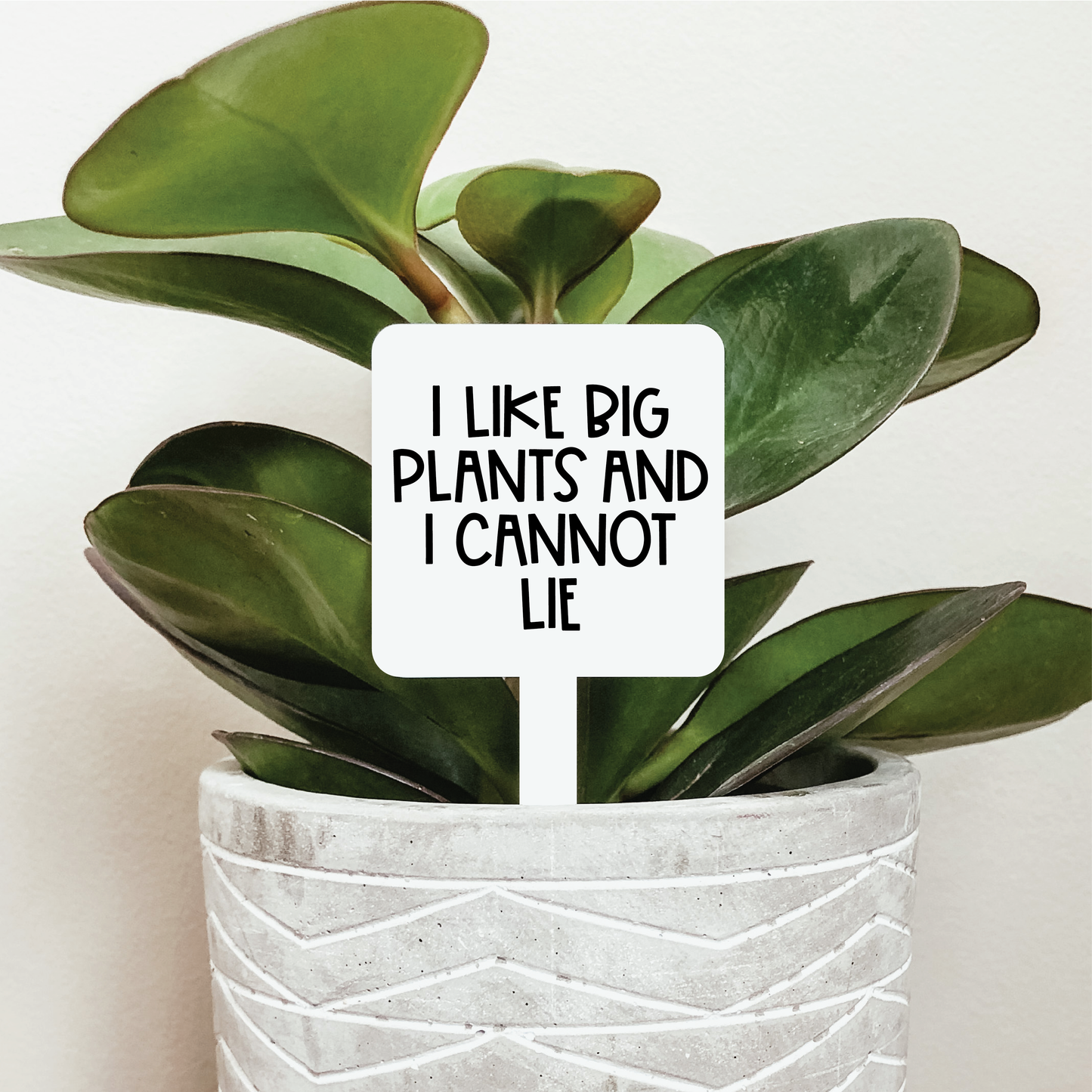 I Like Big Plants Plant Marker