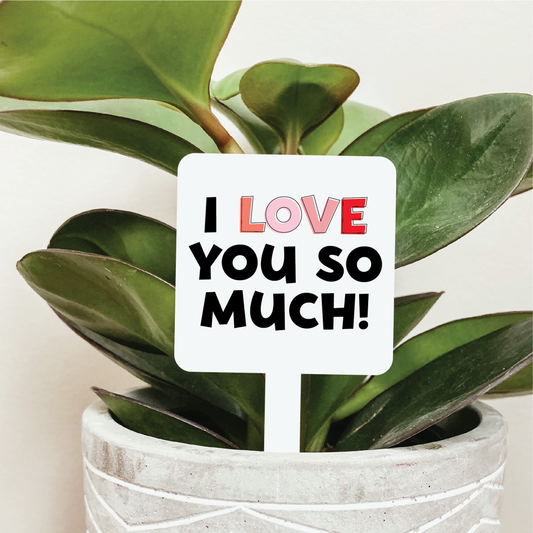 I Love You So Much Plant Marker