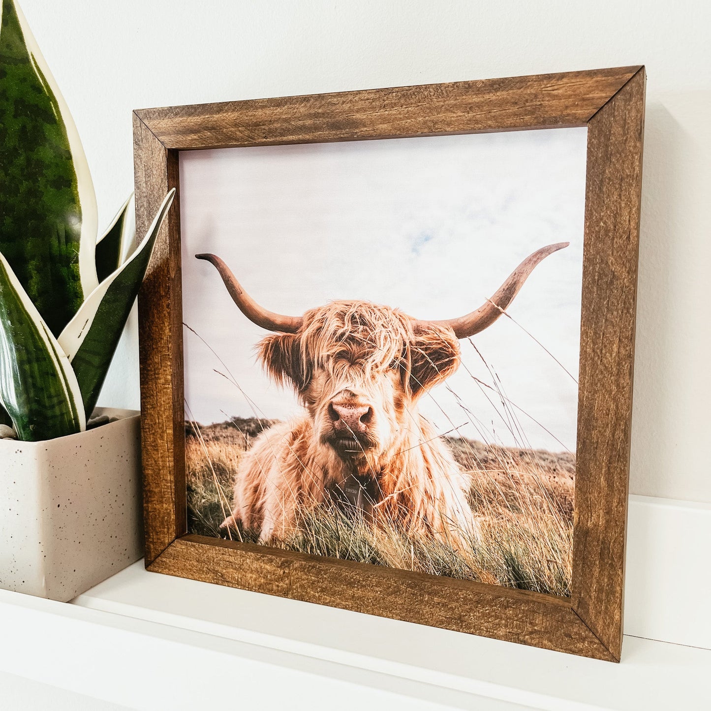 Highland Cow Framed Sign