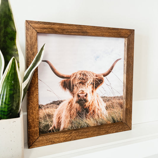 Highland Cow Framed Sign