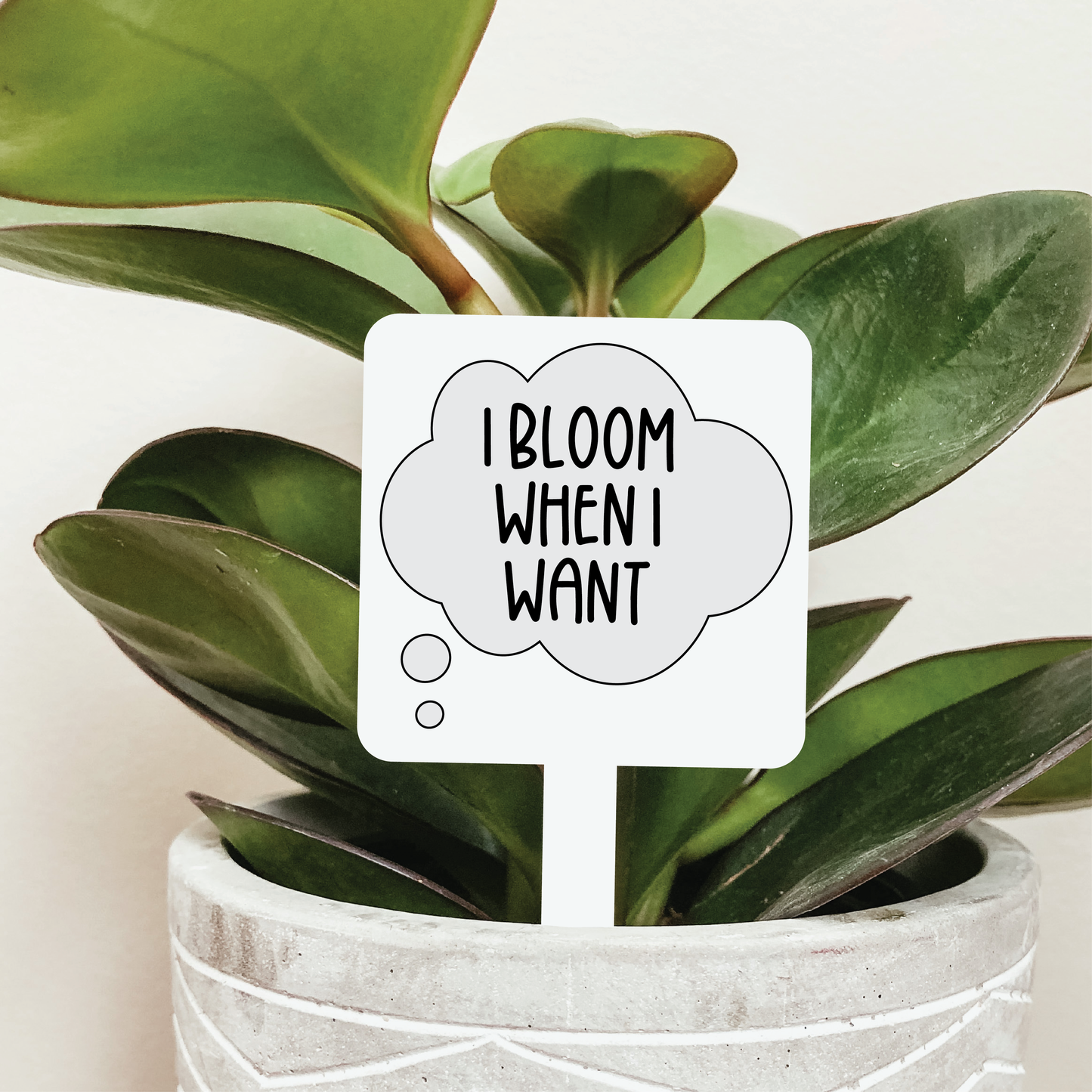 I Bloom When I Want Plant Marker