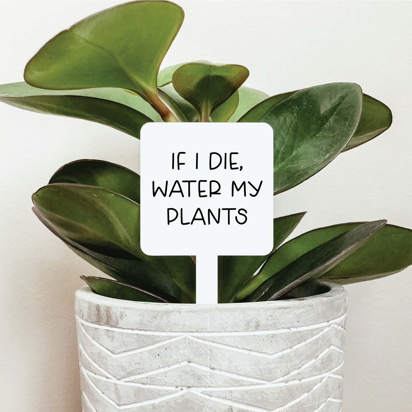 If I Die Water My Plants Plant Marker