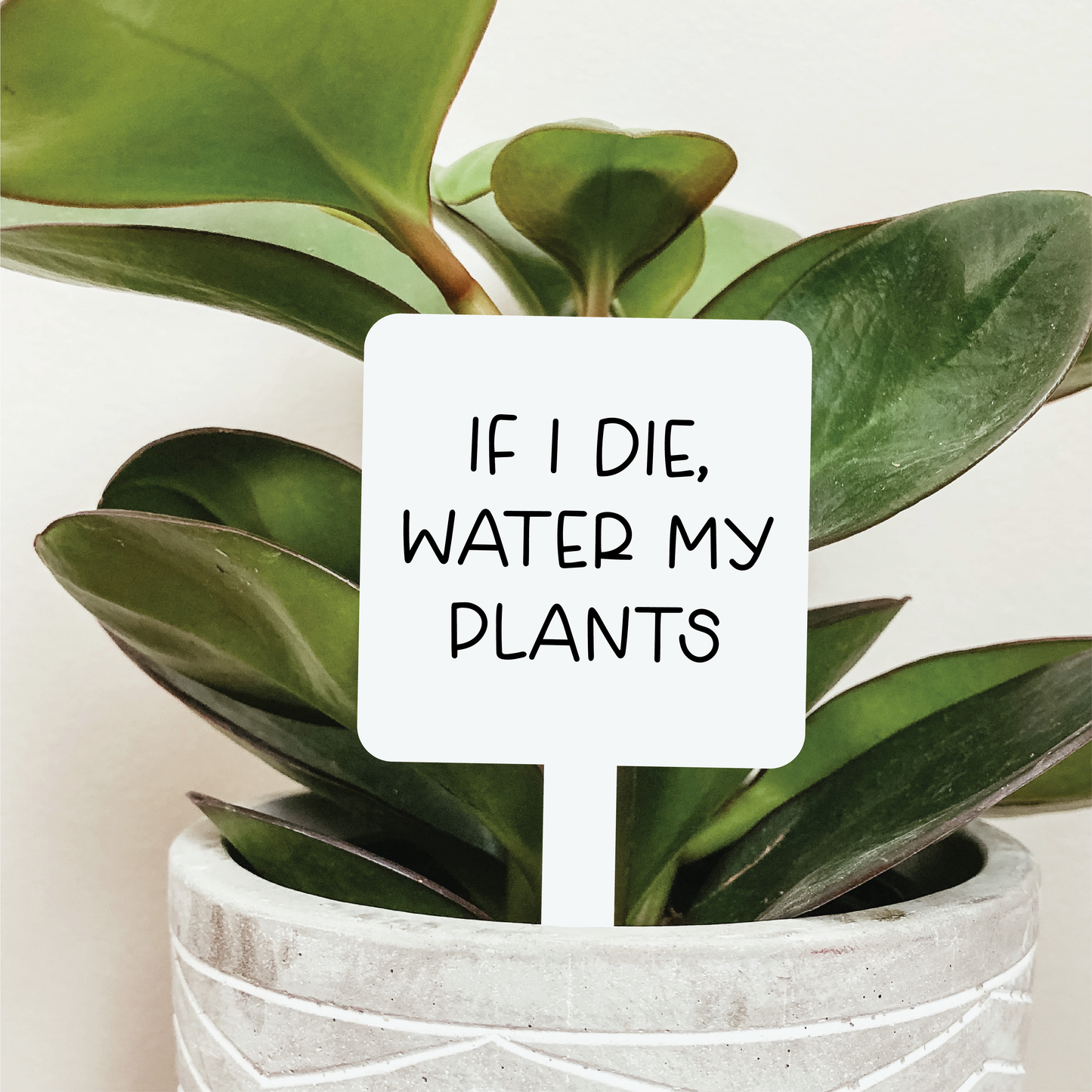 If I Die Water My Plants Plant Marker