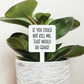 If You Could Not Kill Me Plant Marker