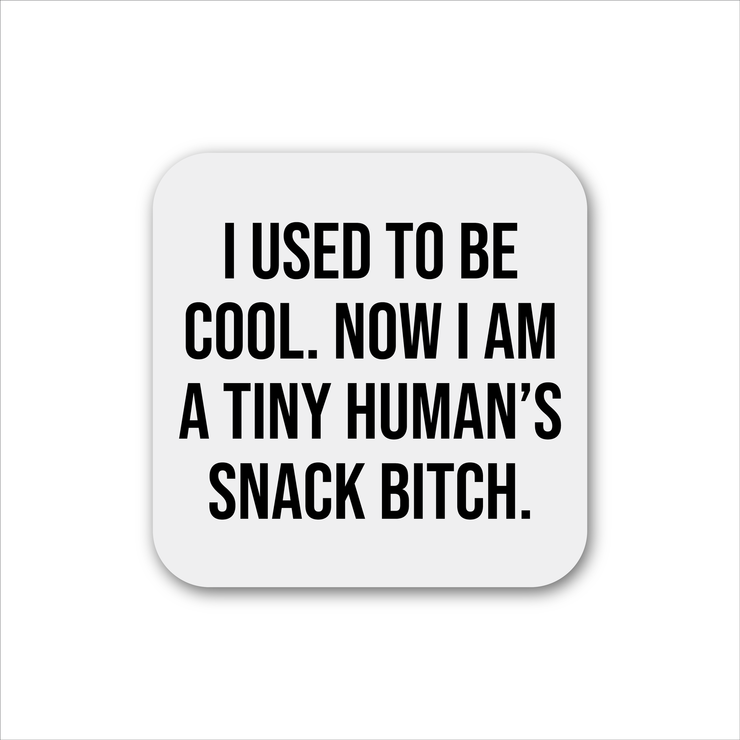 Snack Bitch Magnet