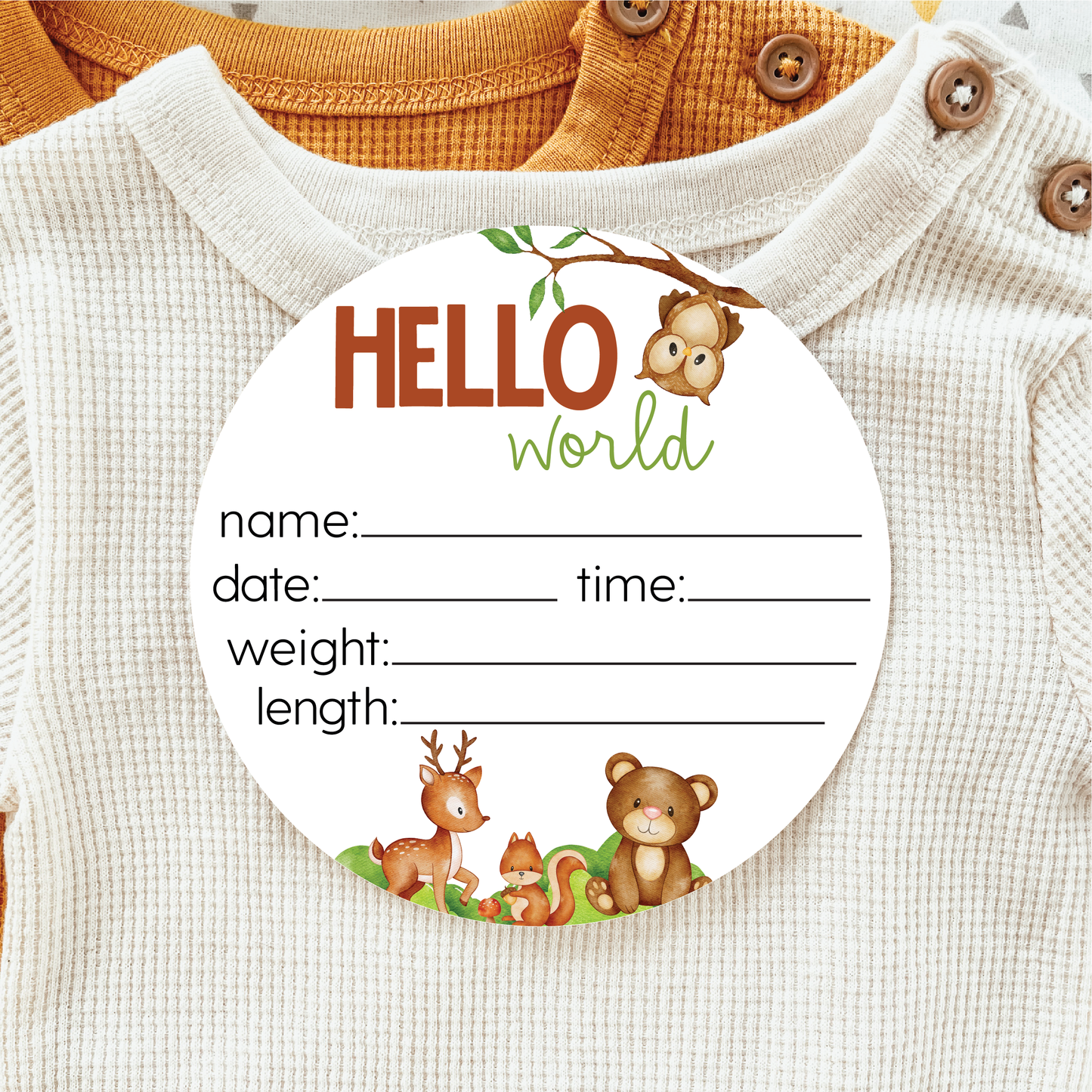 Acrylic Woodland Animals Birth Statistics Birth Announcement