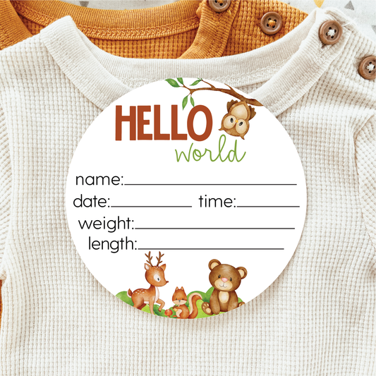 Acrylic Woodland Animals Birth Statistics Birth Announcement