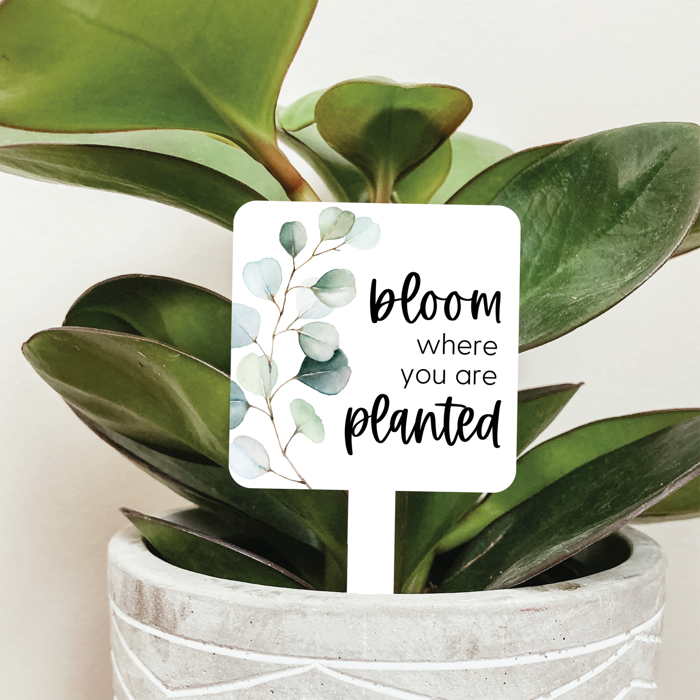 Bloom Where You Are Planted Plant Marker