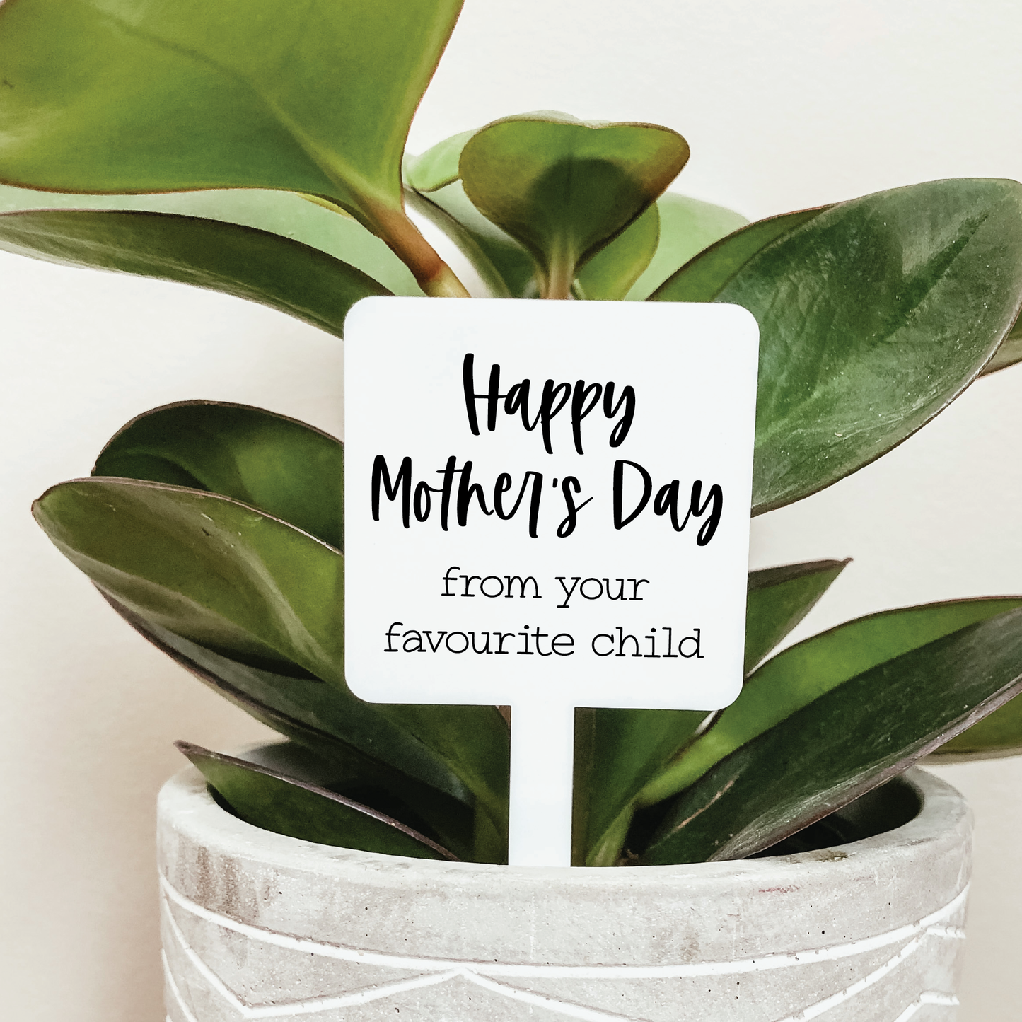 Mother's Day From Favourite Child Plant Marker