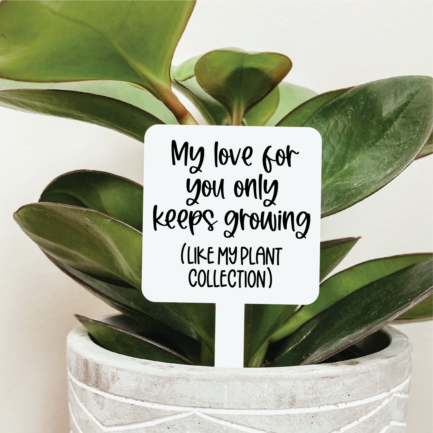 My Love For You Keeps Growing Plant Marker